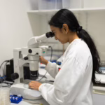 PhD candidate Ananya Natarajan looking through microscope at C. elegans sample