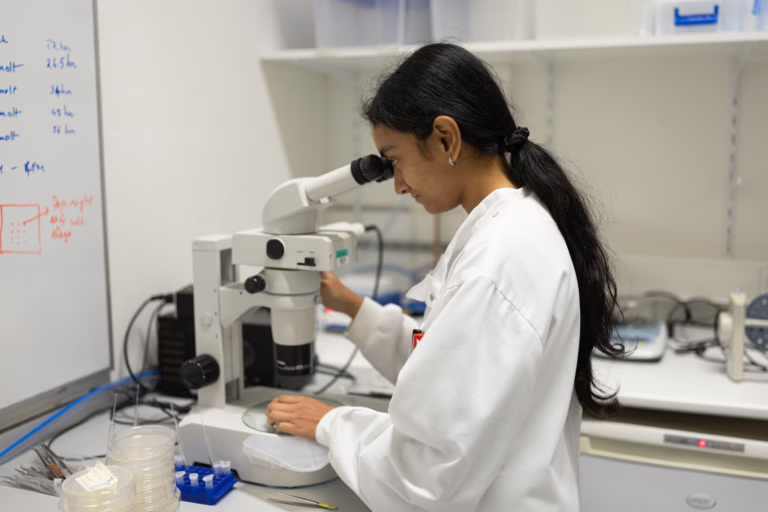 PhD candidate Ananya Natarajan looking through microscope at C. elegans sample
