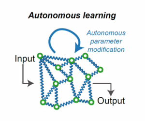 Illustration of the way in which autonomous learning works. In the center a physical network that modifies its own parameters in response to input and output.