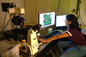 Researcher in the lab