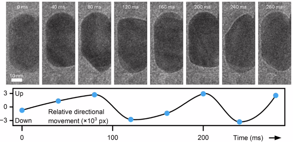 Transmission Electron Microscope (TEM) image