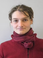 biophysics systems biology katja taute
