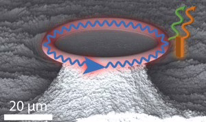 photonic forces ewold verhagen glass micro-doughnut