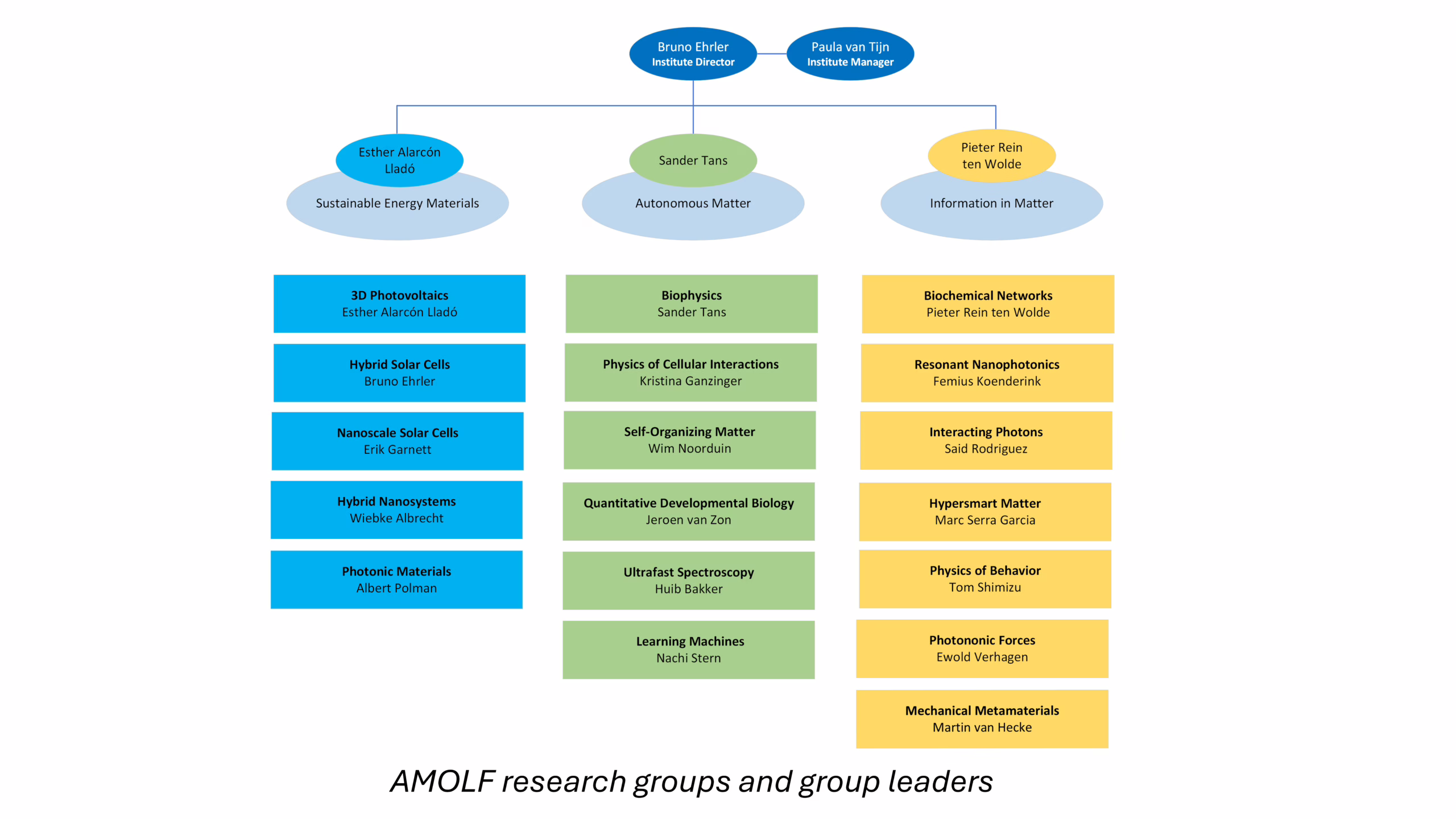 AMOLF research groups and group leaders
