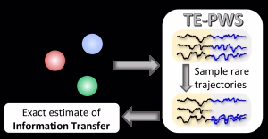 TE-PWS takes in a dynamical model and outputs an exact estimate of information transfer (AMOLF)
